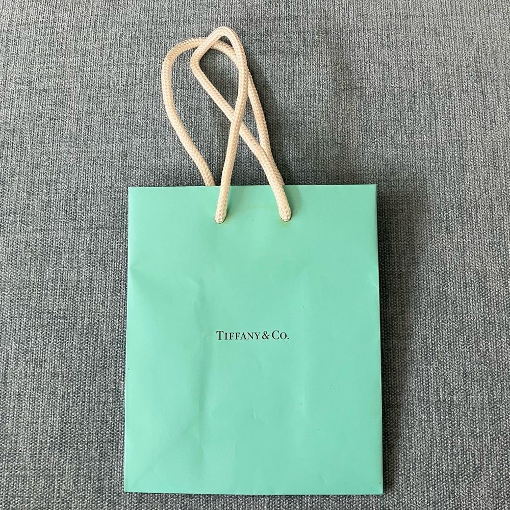 Tiffany & Co. Shopping Gift Bag